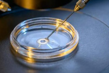 江西南昌最大的助孕机构有几家？看下具体流程