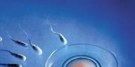 浙江台州医院试管婴儿流程是什么？