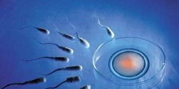 吉林三大助孕机构是哪3家？长春三大助孕中心