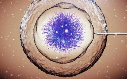 广东省助孕机构真伪辨析攻略：学会这六招，轻松识别正规机构